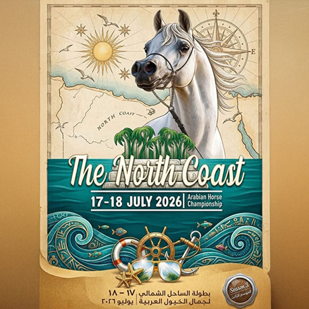 Promo Poster